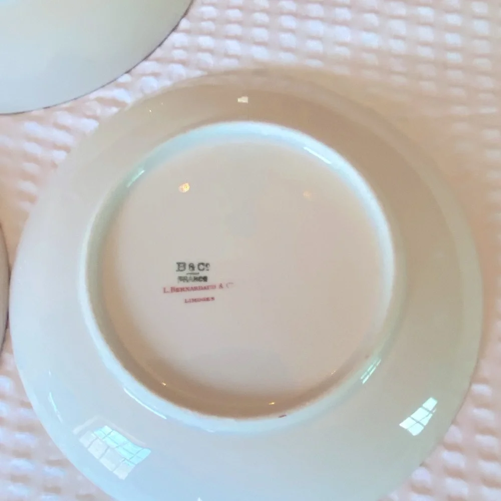 Antique China Limoges Pink and Green Floral 12 Saucers for your tea cups